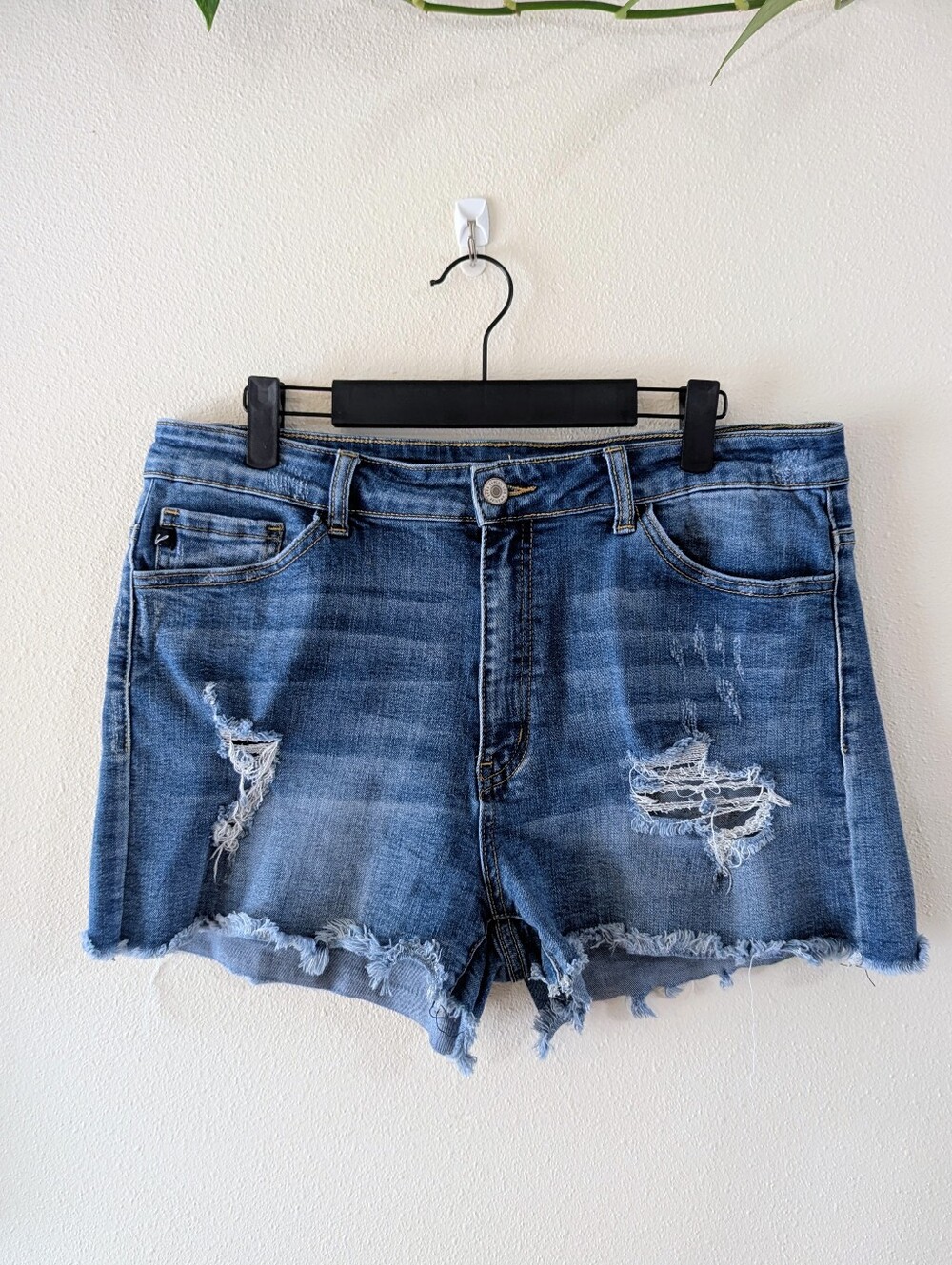 Distressed Jean Shorts